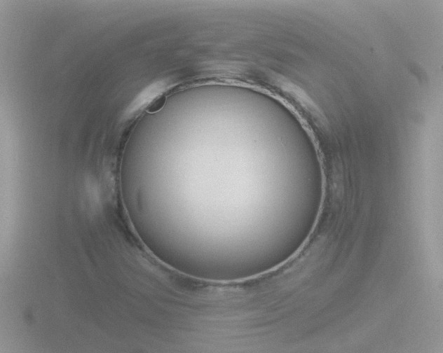 X0000116781354200912241134