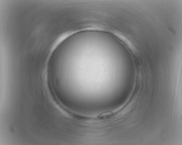 X0000116781375200912241134