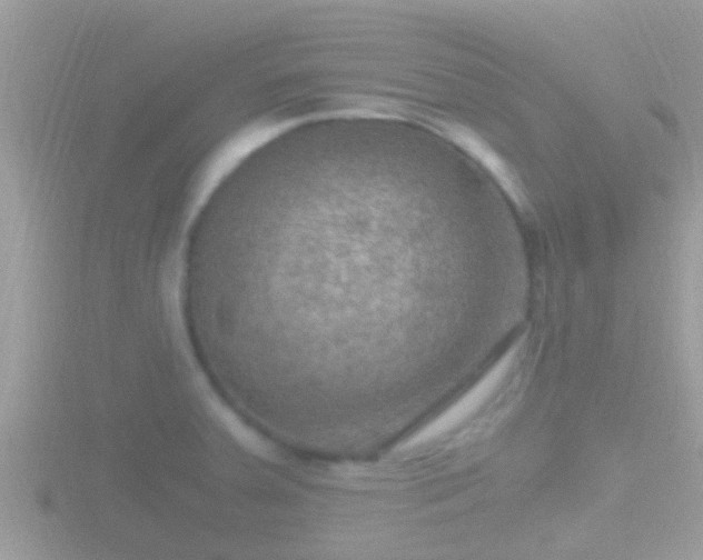 X0000116781379200912241134