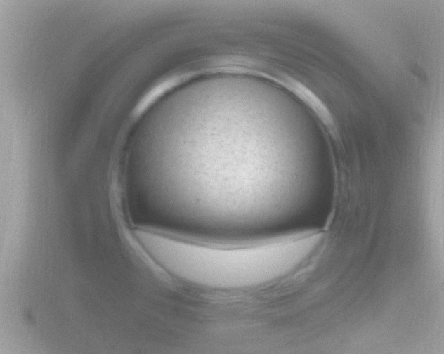 X0000116781384200912241134