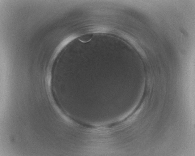 X0000116781418200912241133