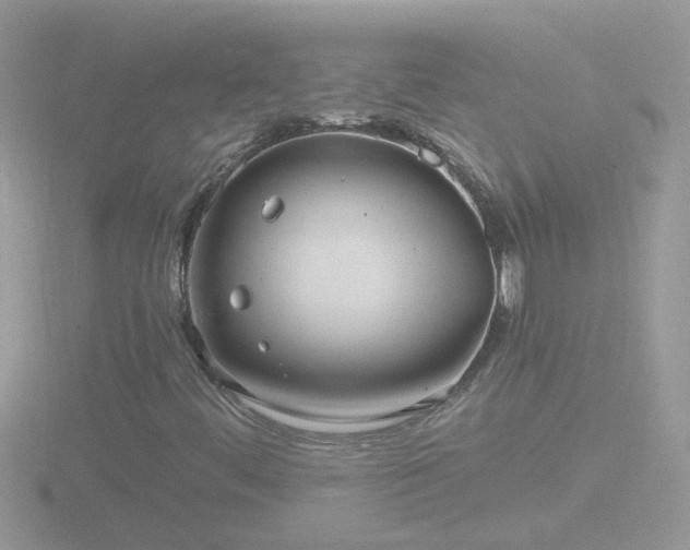 X0000116781444200912241133