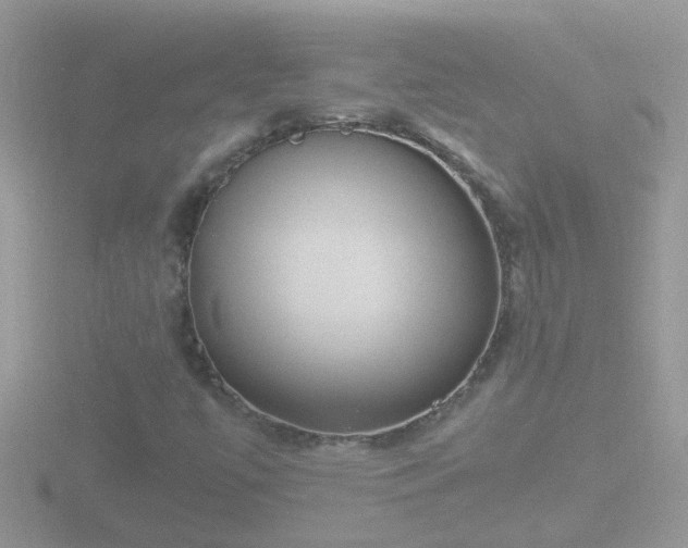 X0000116781447200912241133