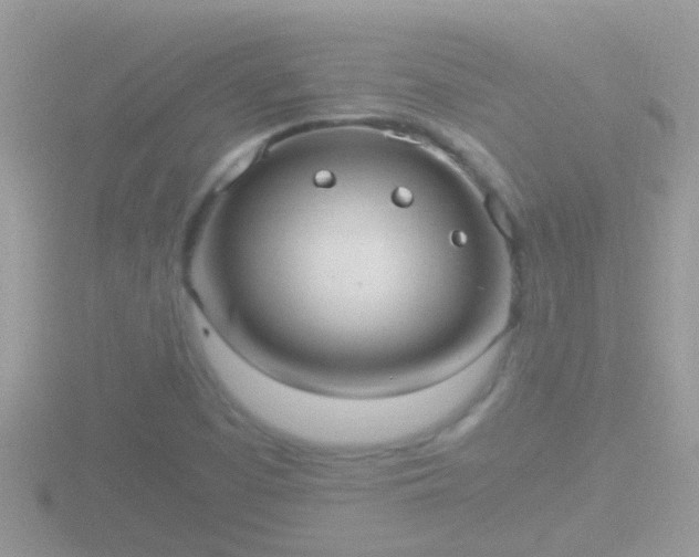 X0000116781457200912241133