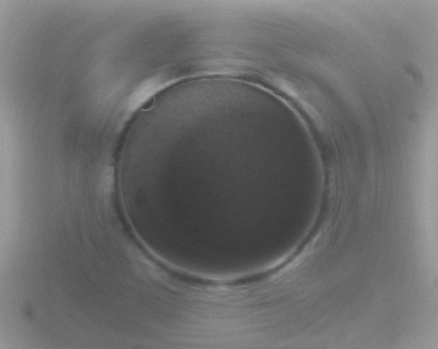 X0000116781459200912241133