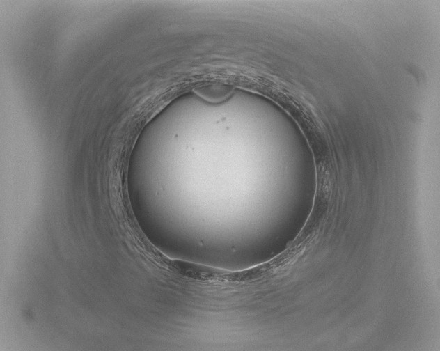 X0000116781489200912241132