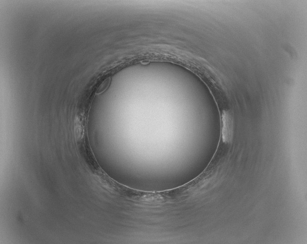 X0000116781491200912241132