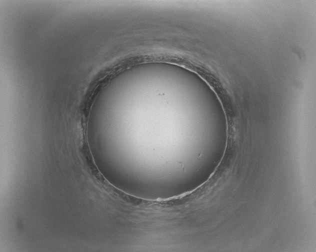 X0000116781493200912241132