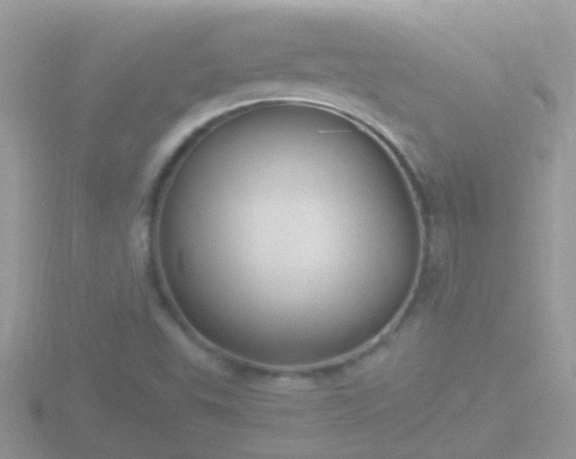 X0000116781503200912241132