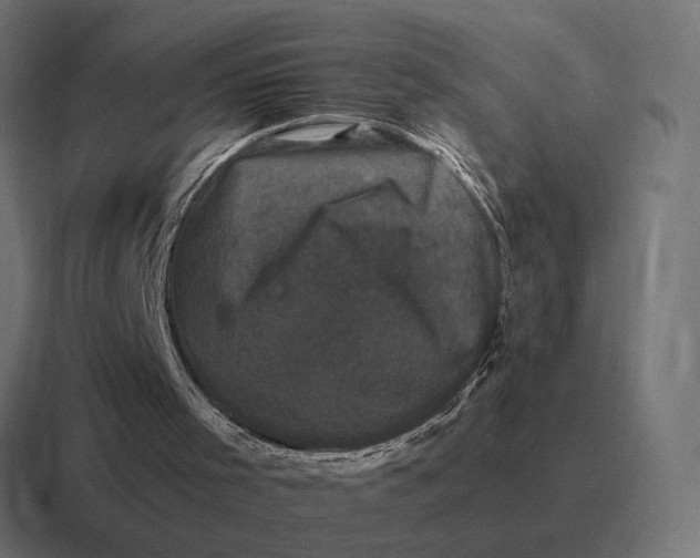 X0000116780001200912311906