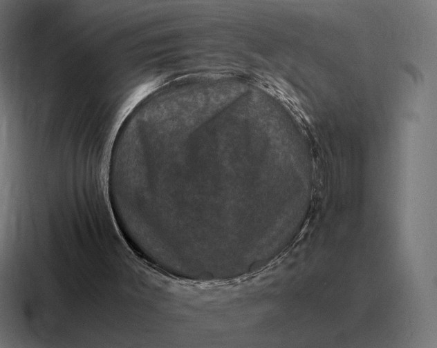 X0000116780003200912311906