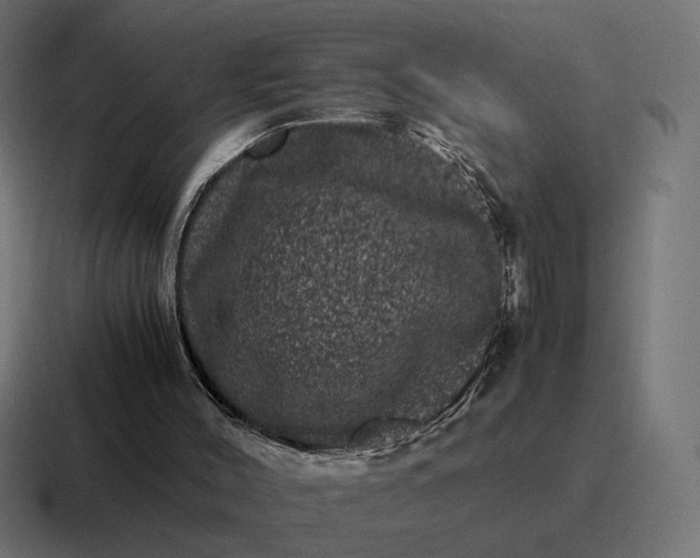 X0000116780004200912311906