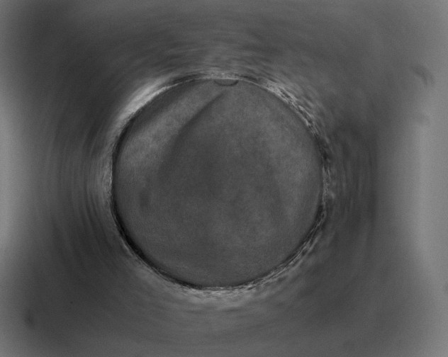 X0000116780005200912311906