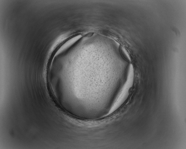 X0000116780006200912311906