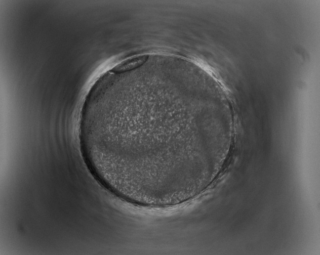 X0000116780007200912311906