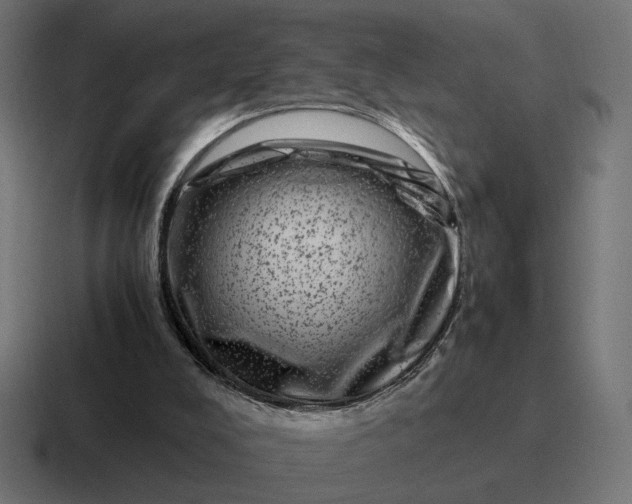 X0000116780008200912311906