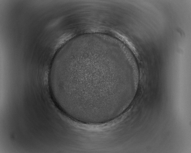 X0000116780010200912311906