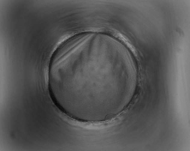 X0000116780011200912311906