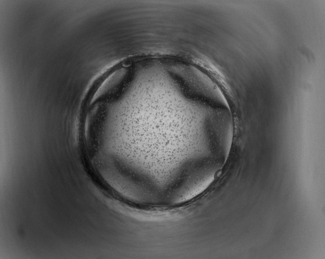 X0000116780012200912311906