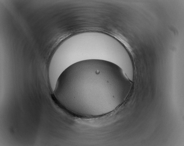 X0000116780013200912311906