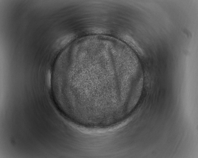 X0000116780014200912311906