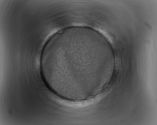 X0000116780015200912311906