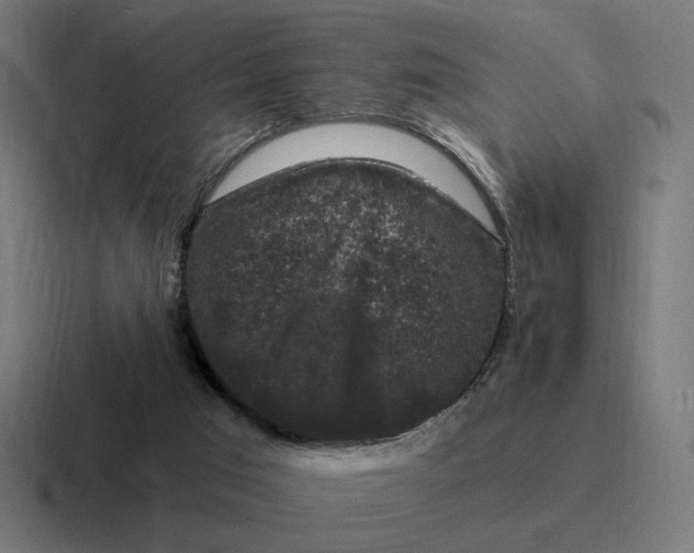 X0000116780017200912311906