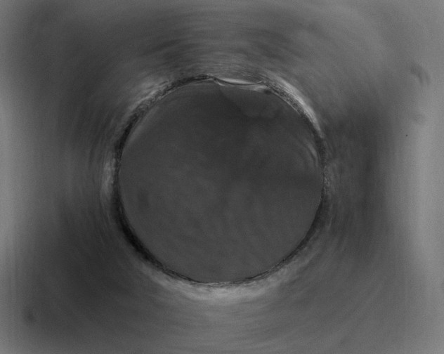 X0000116780018200912311906