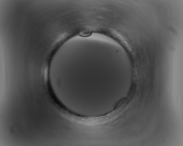 X0000116780019200912311906