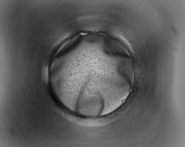 X0000116780020200912311906