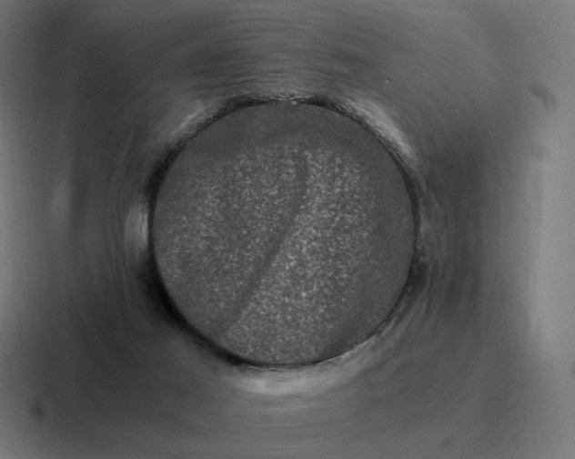 X0000116780021200912311906