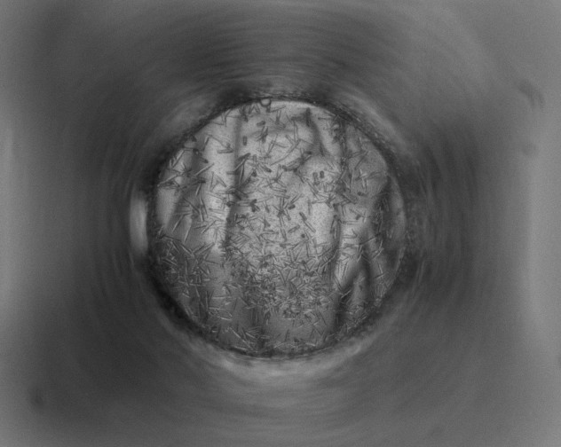 X0000116780022200912311906