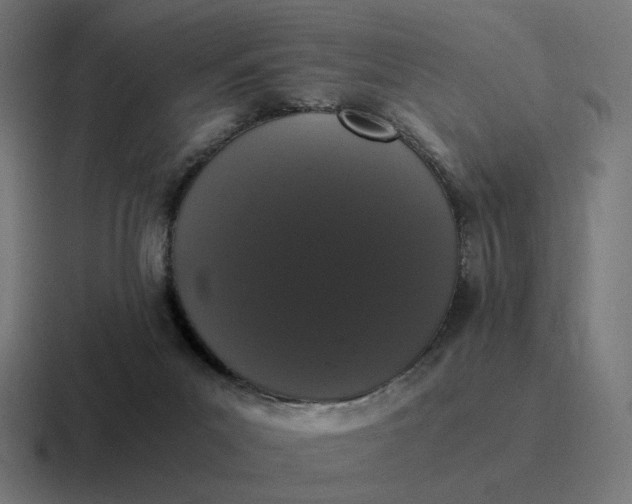 X0000116780023200912311906