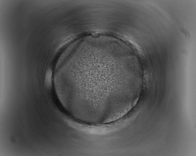 X0000116780024200912311906