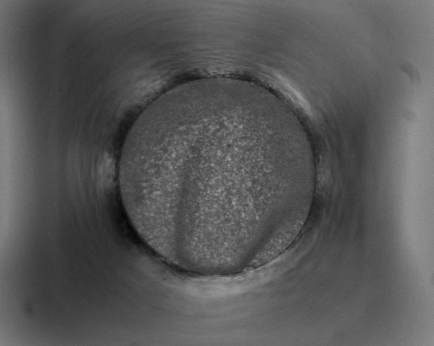 X0000116780025200912311906