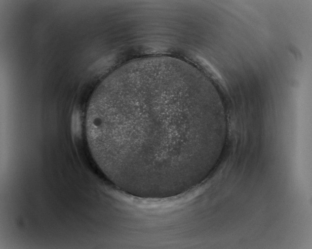 X0000116780026200912311906