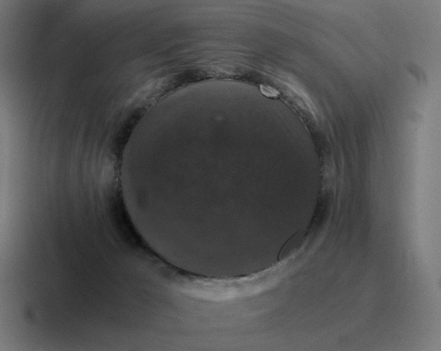 X0000116780029200912311906