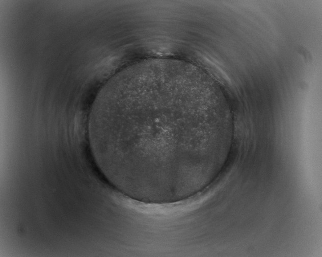 X0000116780030200912311906