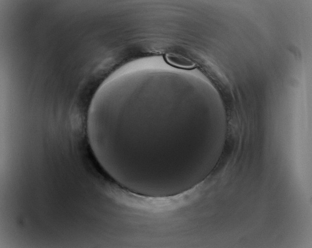 X0000116780031200912311906