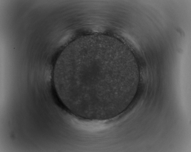 X0000116780032200912311906