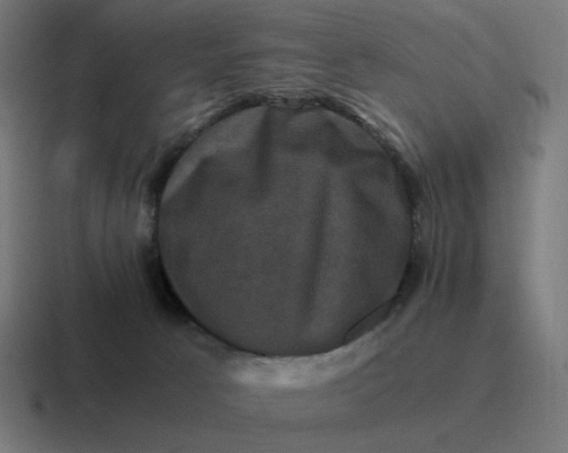 X0000116780033200912311906