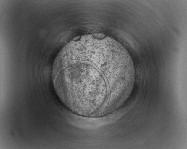 X0000116780034200912311906