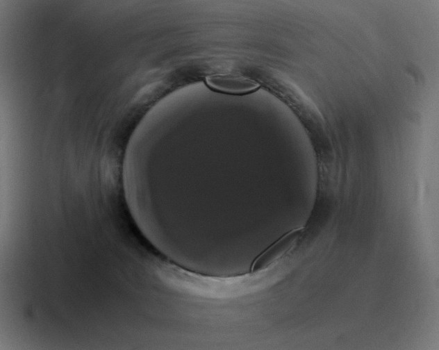 X0000116780035200912311906