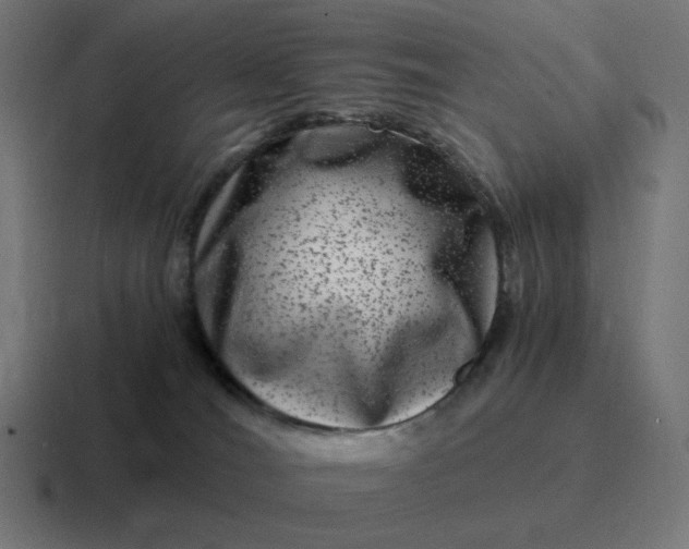 X0000116780036200912311906