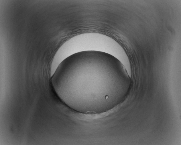 X0000116780037200912311906