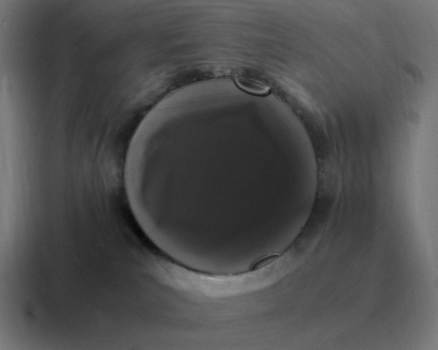 X0000116780039200912311906