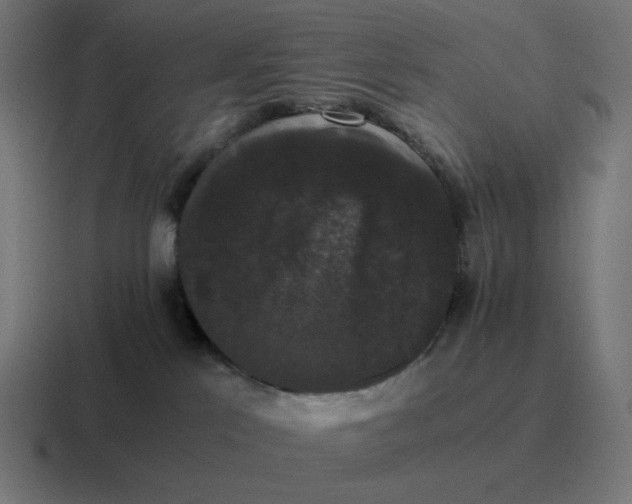 X0000116780041200912311906