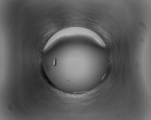 X0000116780043200912311906