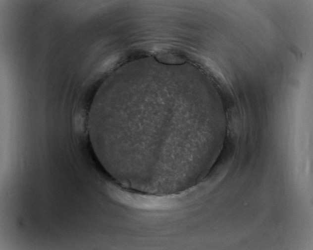 X0000116780044200912311906