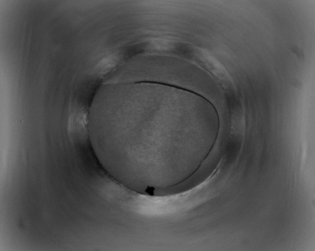 X0000116780045200912311906